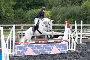 Class 6 - Fences not above 2'9